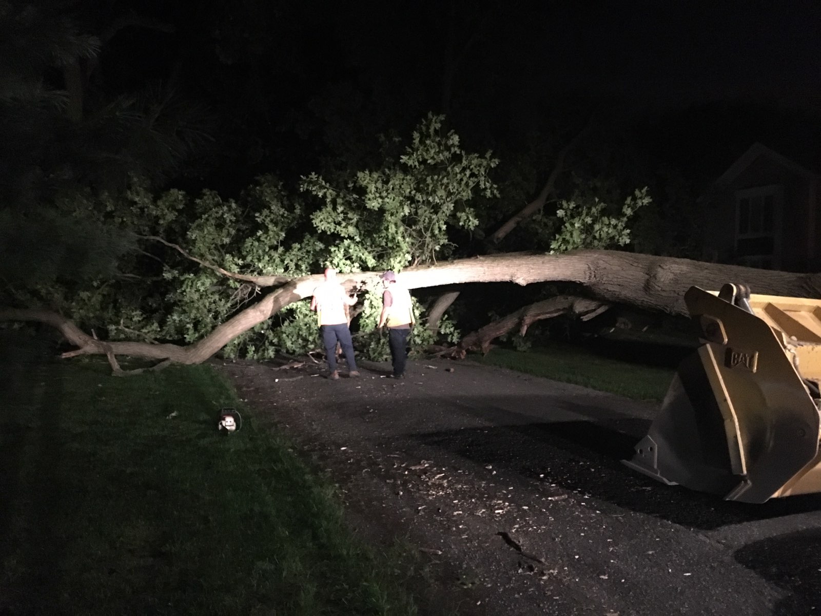 Giant tree down on Evergreen Rd in Granger prompts VEST to block off the road while county crews arrive with needed apparatus